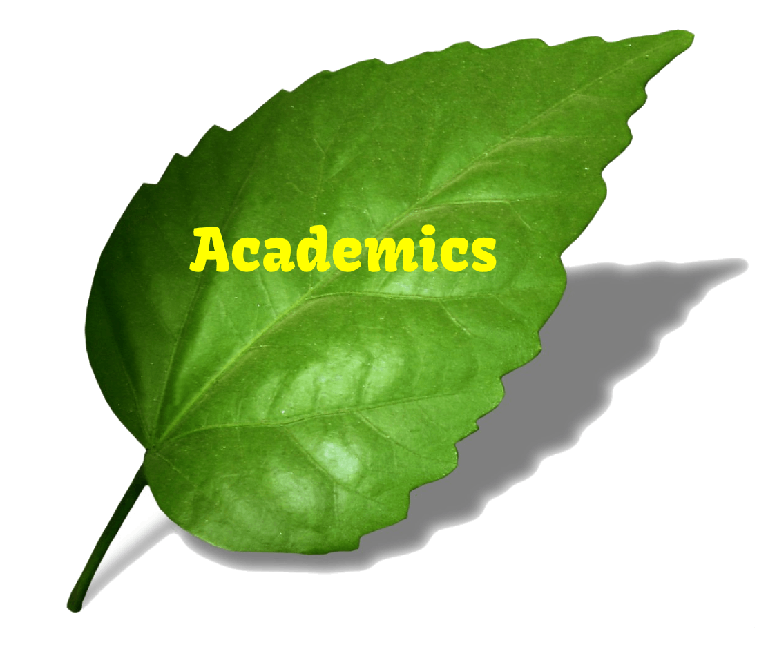 Academics